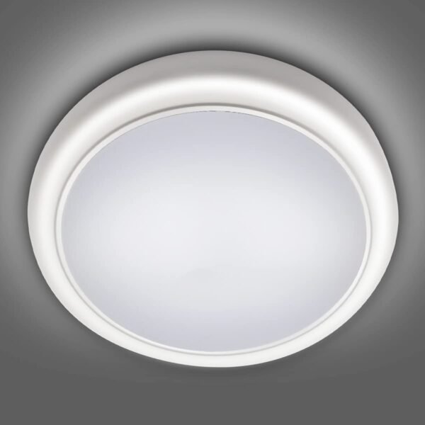 15W LED Microwave Sensor Ceiling Light (AYCE2013C) (Copy)